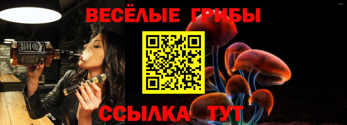 Сертолово  где купить наркотик  Вход с VPN  Галлюциногенные грибы MAGIC MUSHROOMS 